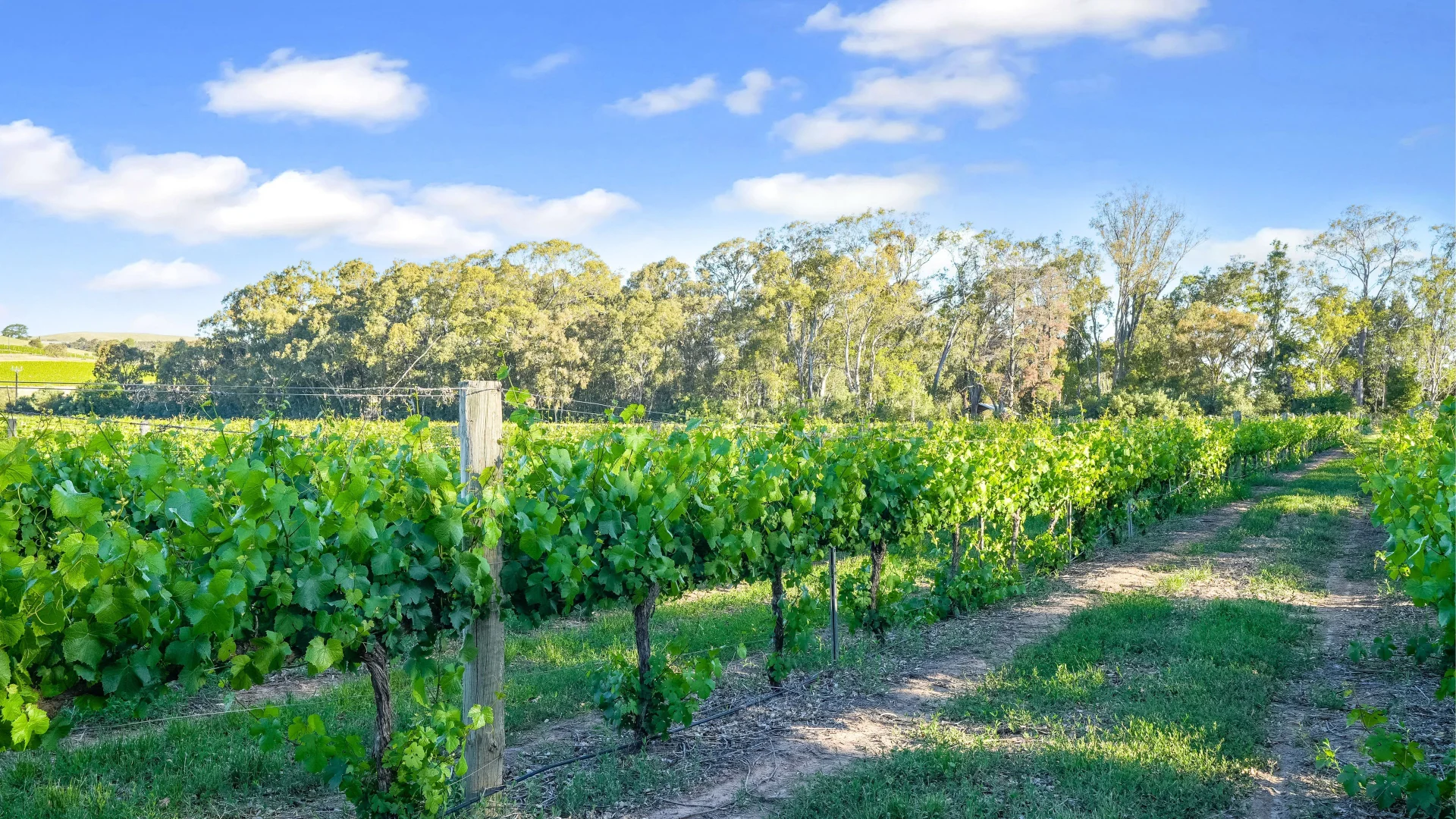 Additional image 3 of 95 Fairfield Road, Penwortham SA 5453