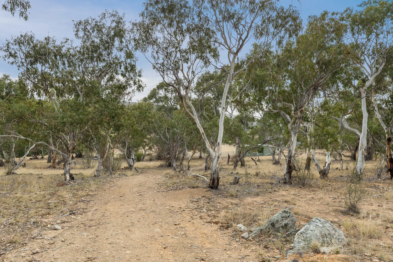 Image 32
