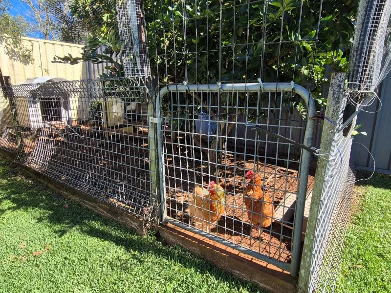 Image 20