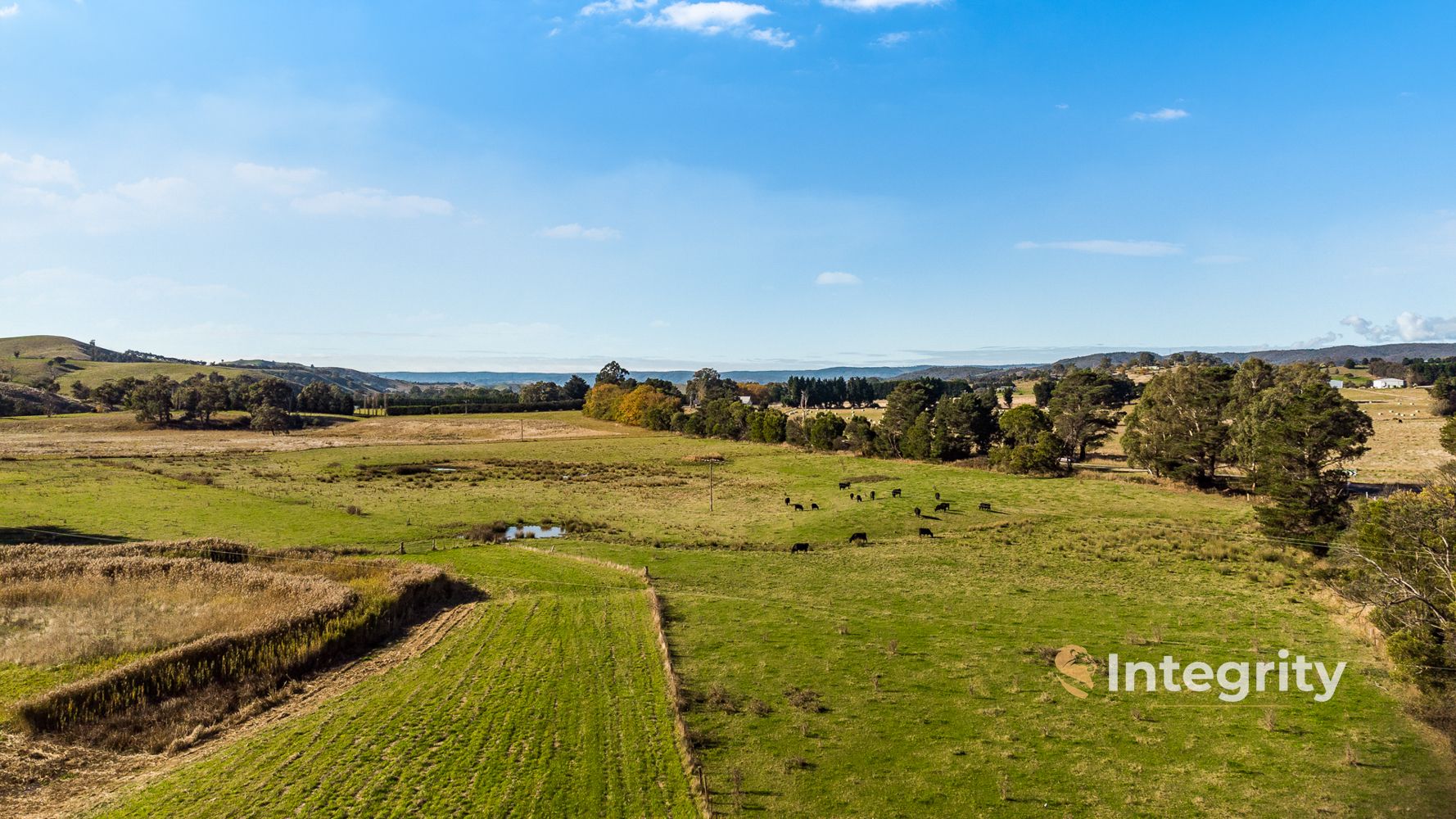 16 Break O'day Road, Glenburn VIC 3717, Image 2