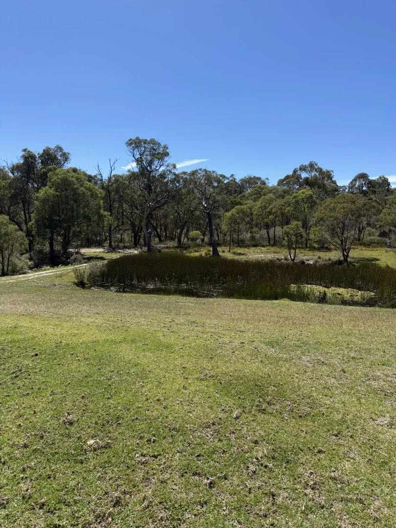 Additional image 11 of 1521 Morven Road, Dundee NSW 2370