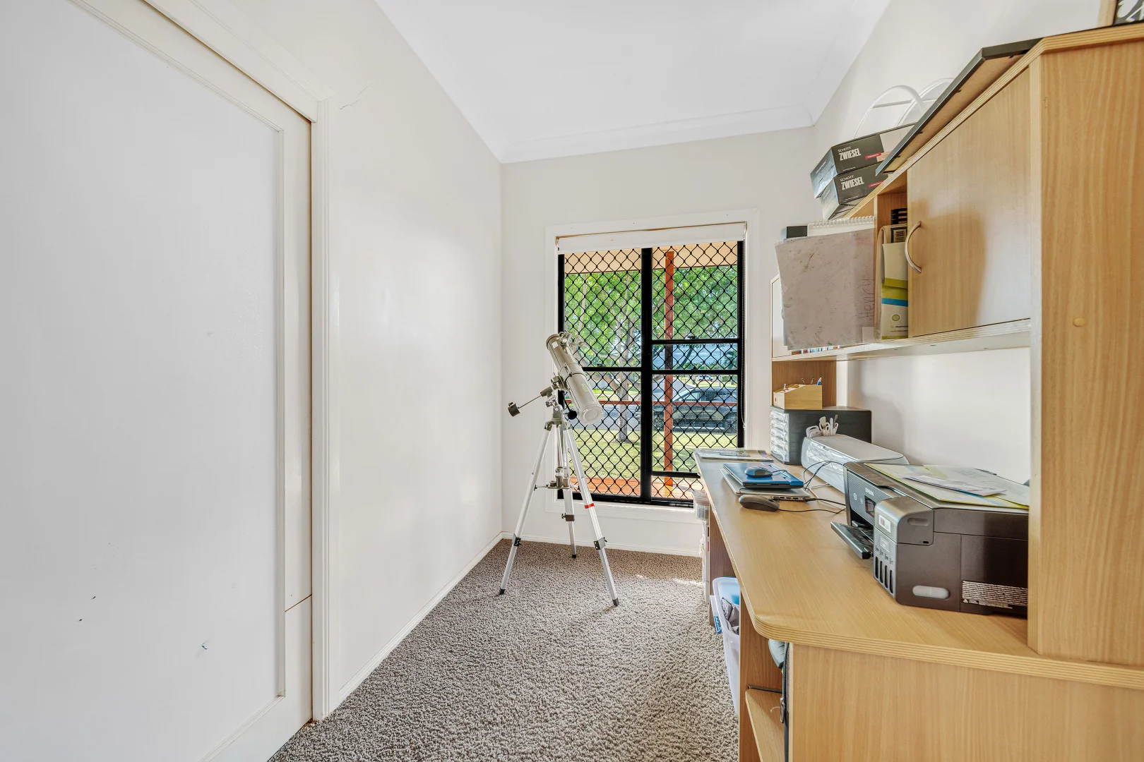 Image 11