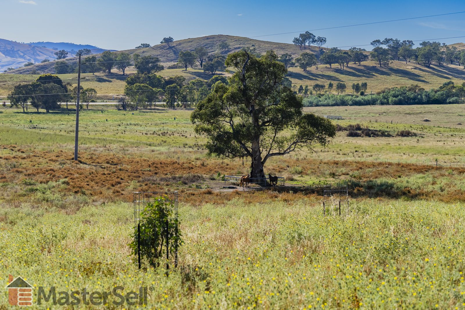 Lot 7 Five Mile Creek Road, Gundagai NSW 2722 House for Sale