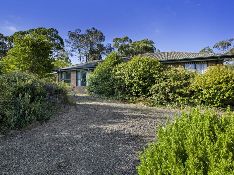 218 Gap Road, Riddells Creek VIC 3431, Image 0