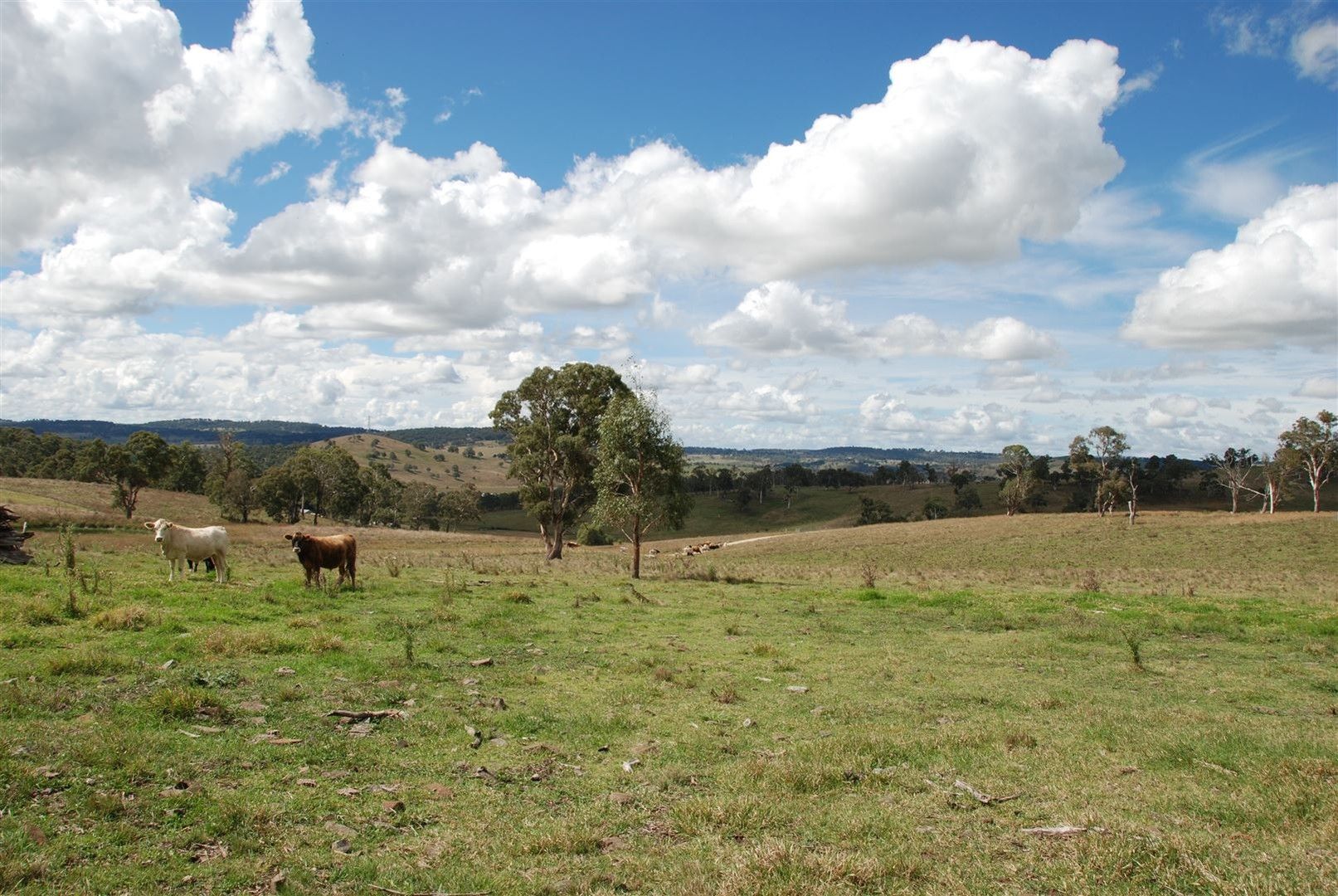 189 Oxley Drive, Walcha NSW 2354, Image 0