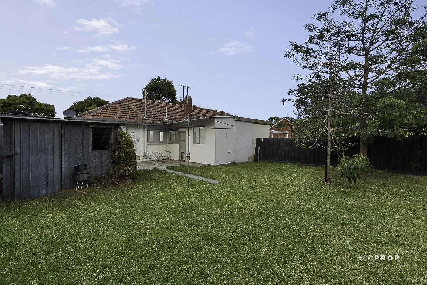 Image 12