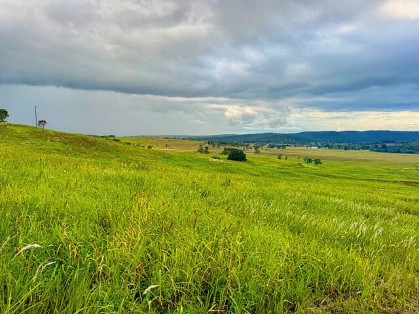 Additional image 13 of 4411 Bruxner Highway, Piora NSW 2470