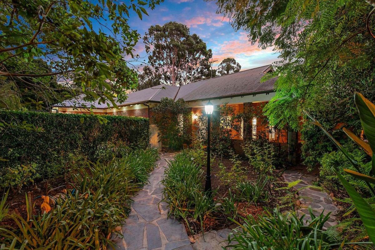 21 Fife Avenue Torrens Park Sa 5062 Domain
