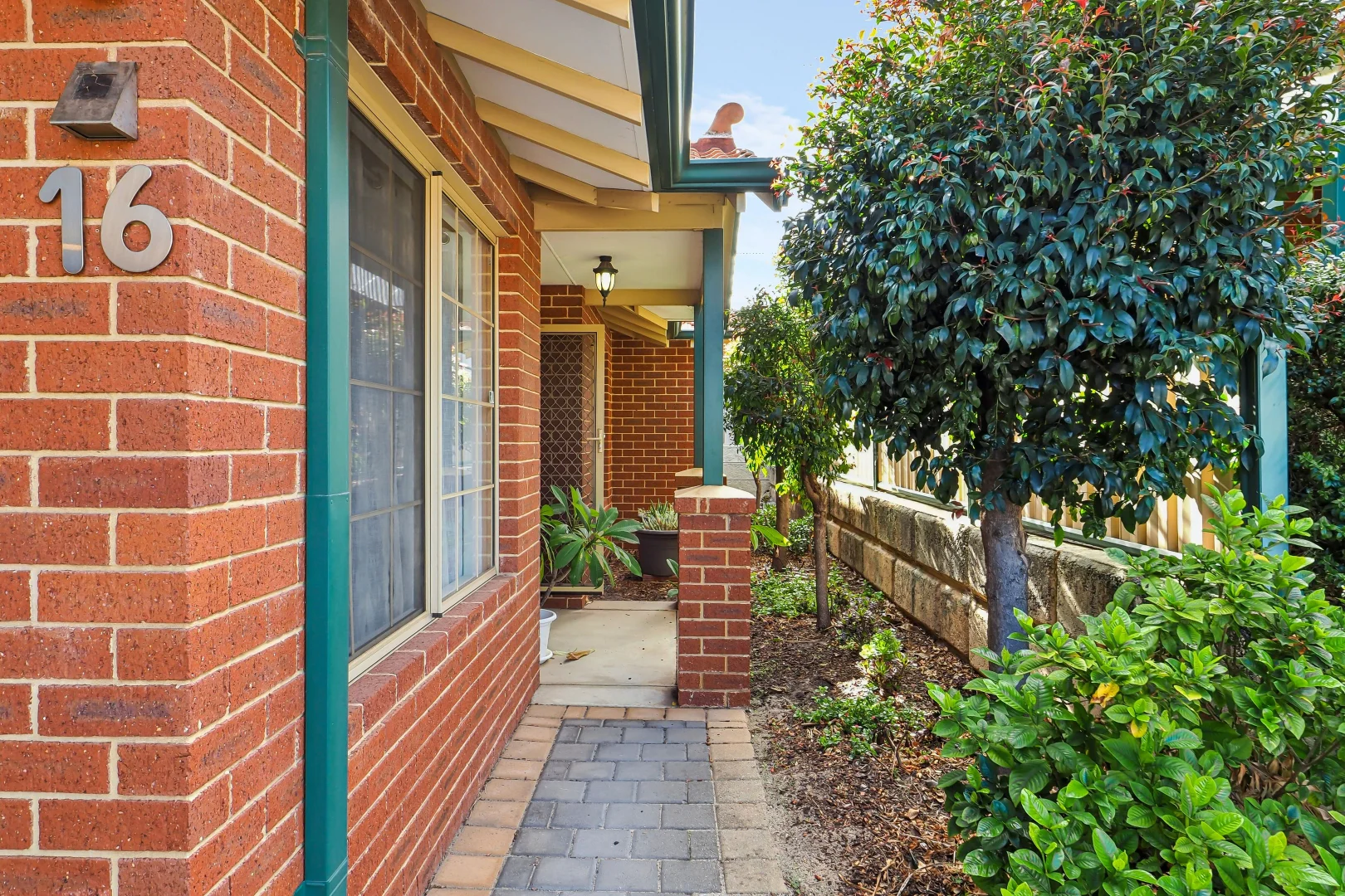 Image 21