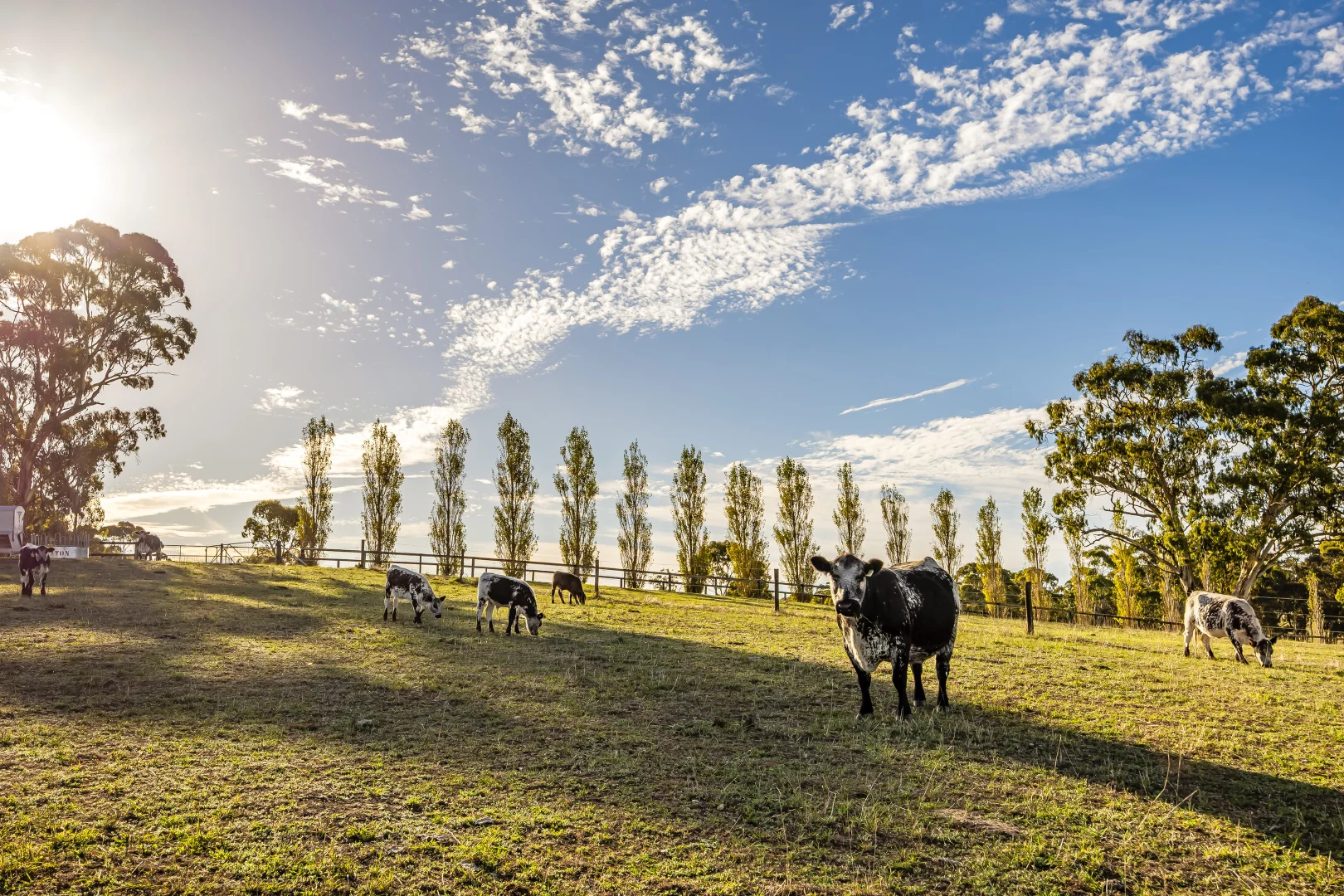 Additional image 93 of 444 Hawthorn Road, Echunga SA 5153