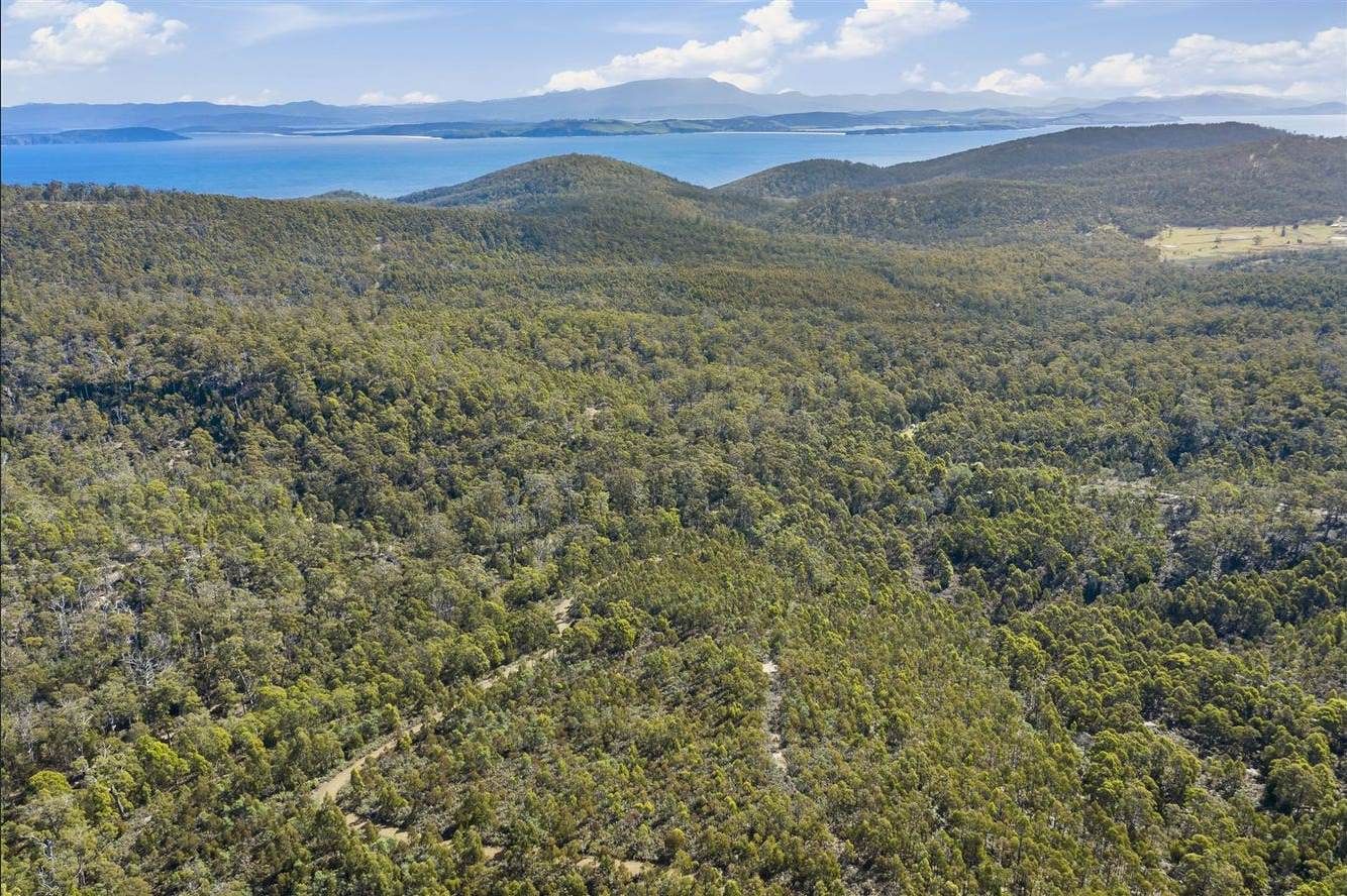 Lot 1 Lightwood Road, Saltwater River TAS 7186, Image 0