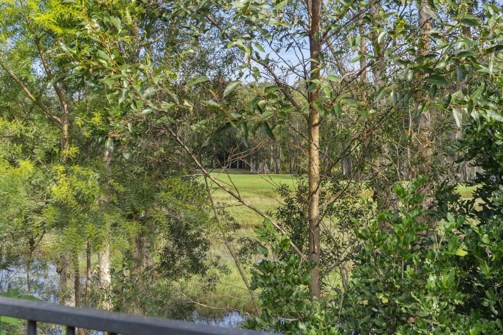 Image 15