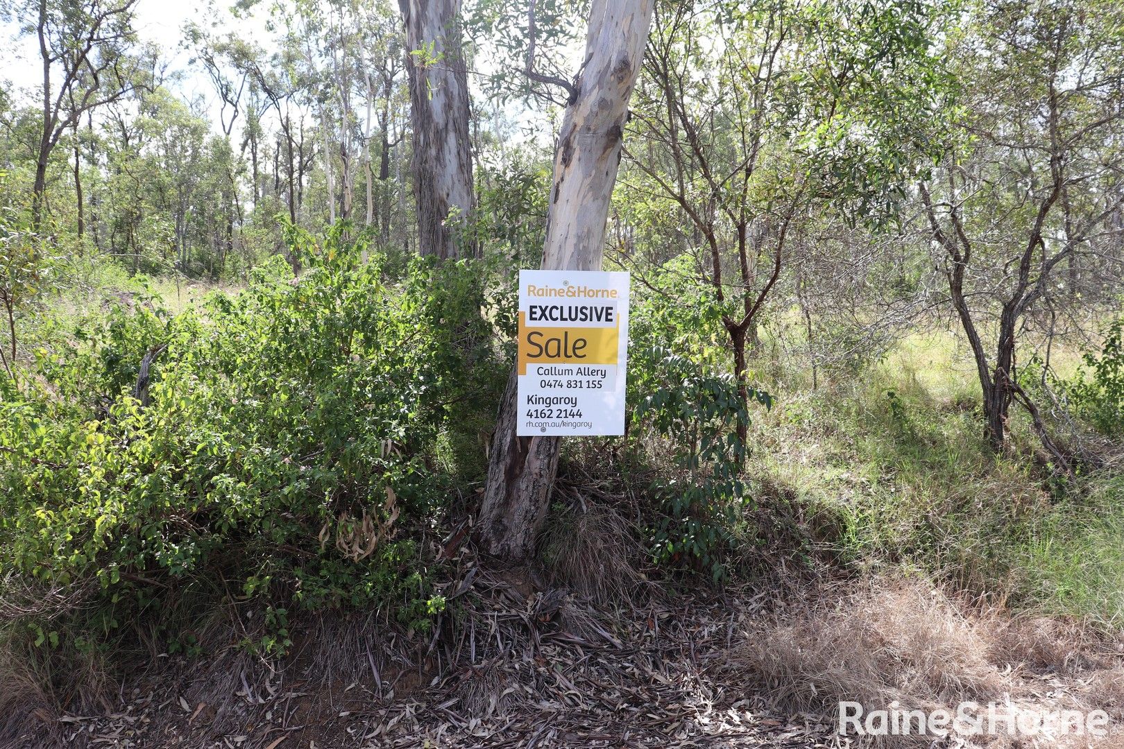 Lot 63 Franklin Road, Wattle Camp QLD 4615, Image 0