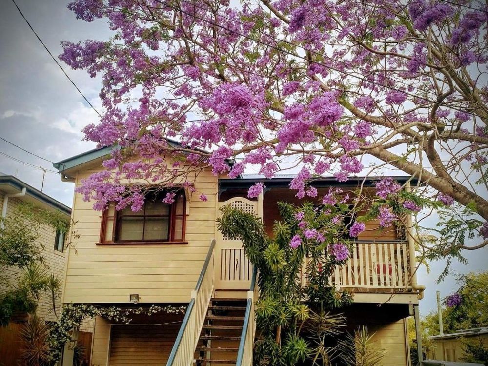 4 bedrooms House in  LOTA QLD, 4179