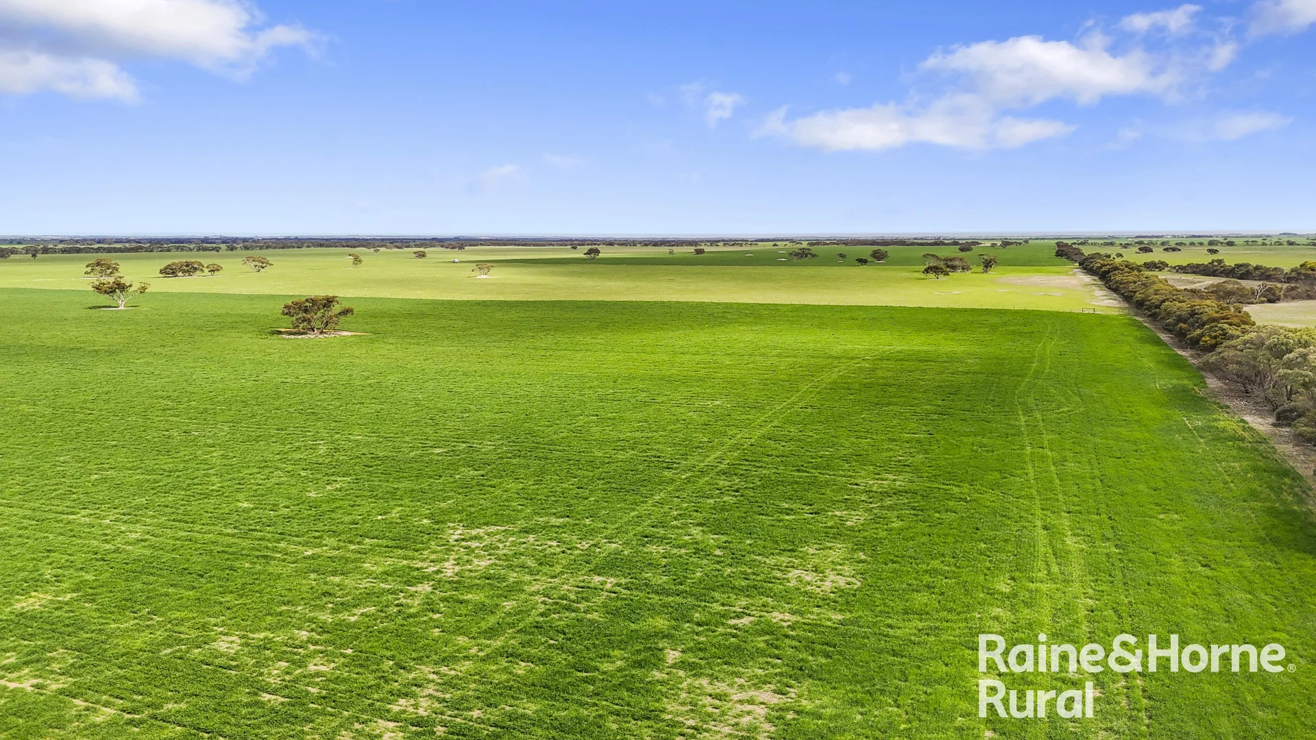 Additional image 39 of 714 Buccleuch South Road, Yumali SA 5261