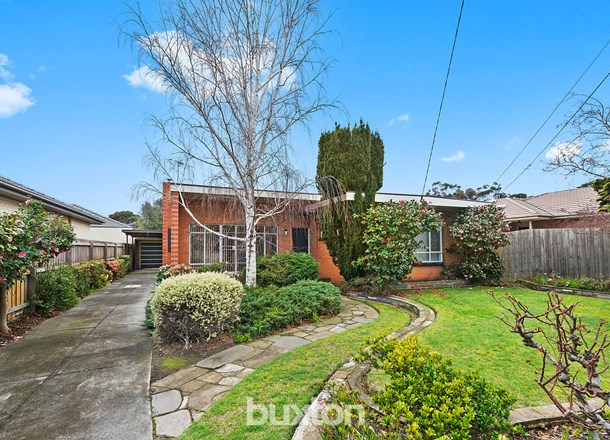 49 Weymar Street, Cheltenham VIC 3192