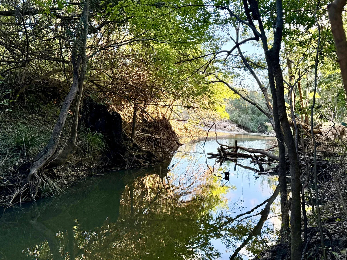 Image 25