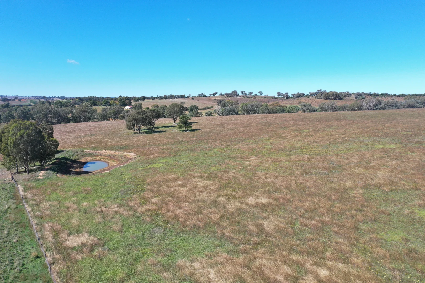 Additional image 18 of 216 Good Friday Gully Road Maimuru via, Young NSW 2594