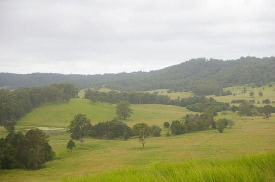 GUM SCRUB NSW 2441, Image 0