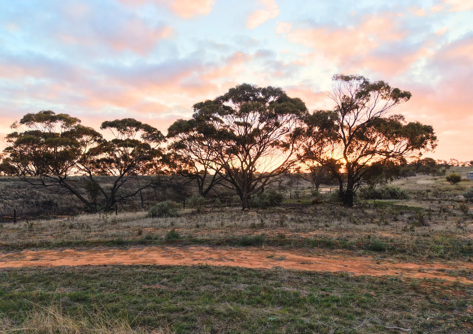 Image 10