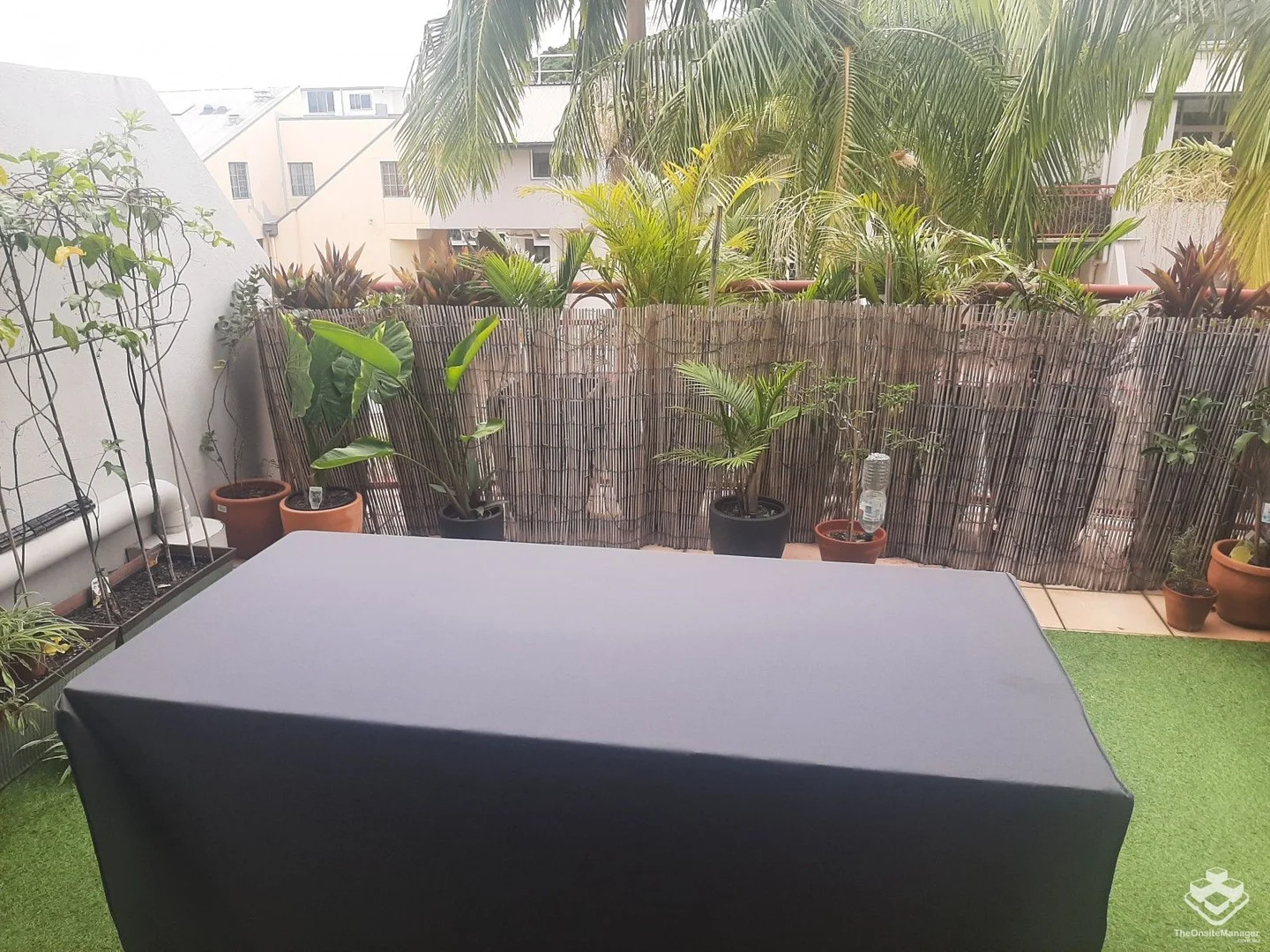 Additional image 8 of ID:21174053/176 Sydney Street, New Farm QLD 4005