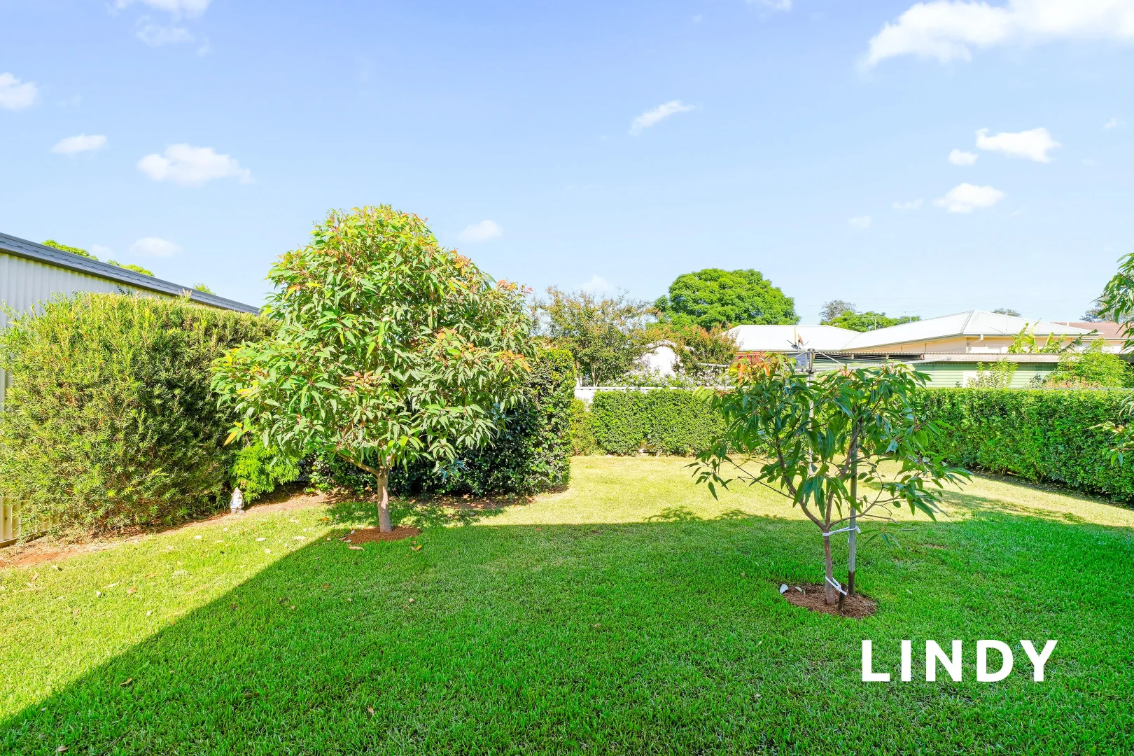 Additional image 15 of 19 Bishopgate Street, Singleton NSW 2330