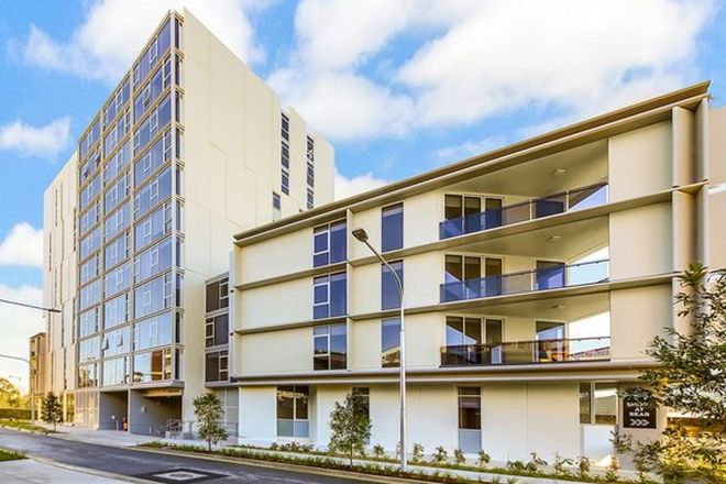 94 3 Bedroom Apartments For Rent In Alexandria Nsw 2015
