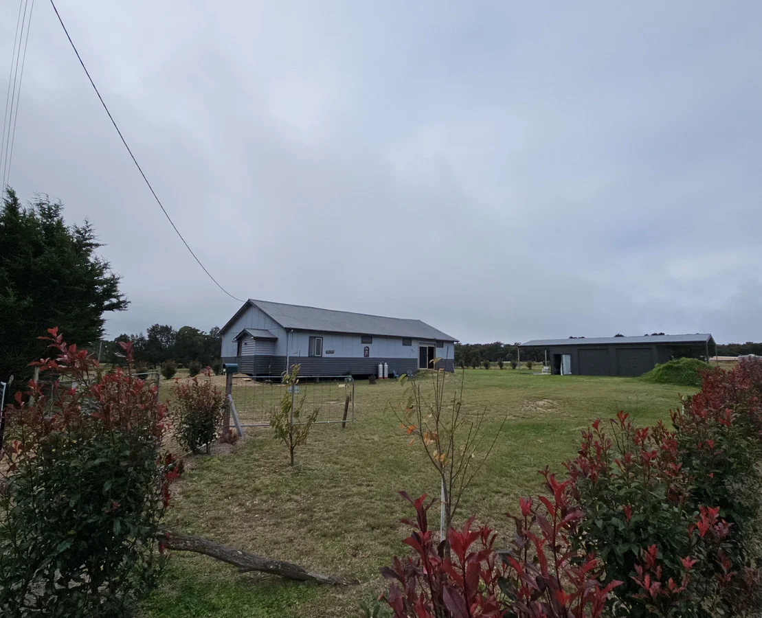 Image 16