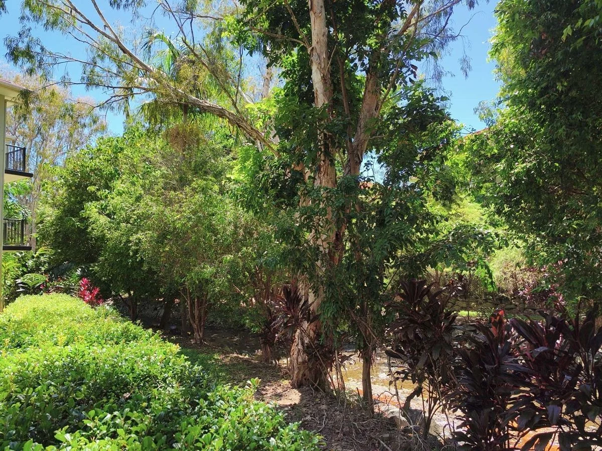 Additional image 11 of Unit 1401 40 Clifton Road, Clifton Beach QLD 4879
