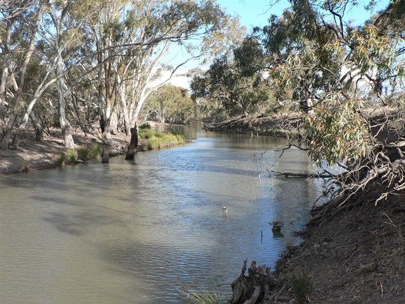 Picture of "Whiporie Park" 1537ha - 3793ac, CONARGO NSW 2710