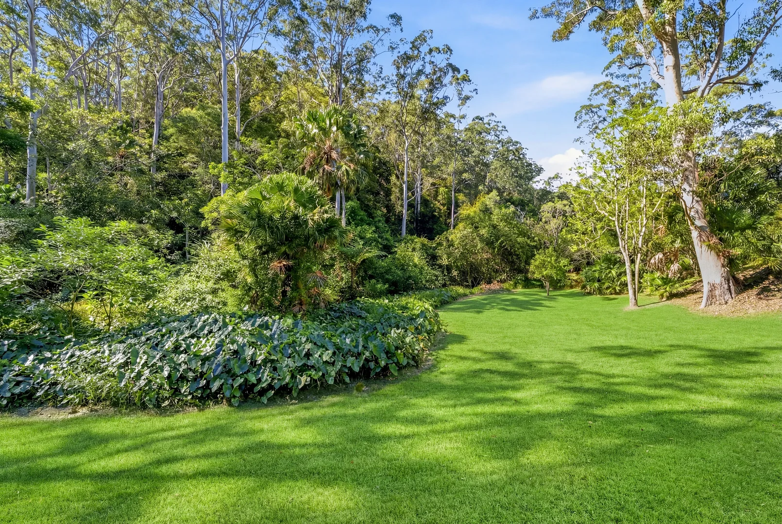 Additional image 12 of 234 Peach Orchard Road, Fountaindale NSW 2258