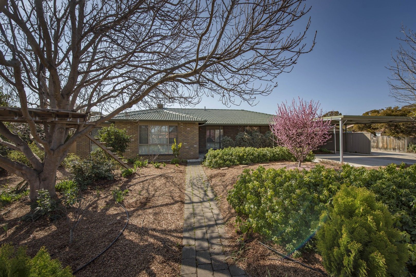 19 Forwood Street, Monash ACT 2904, Image 0