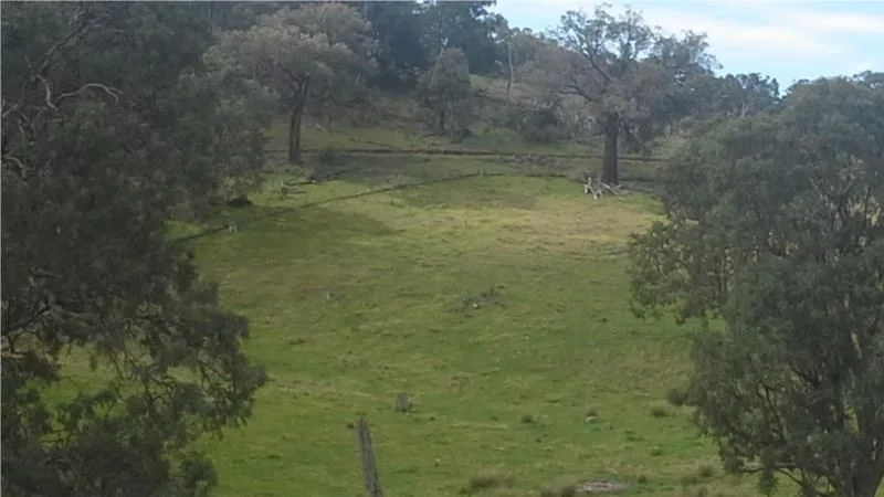 Image 8