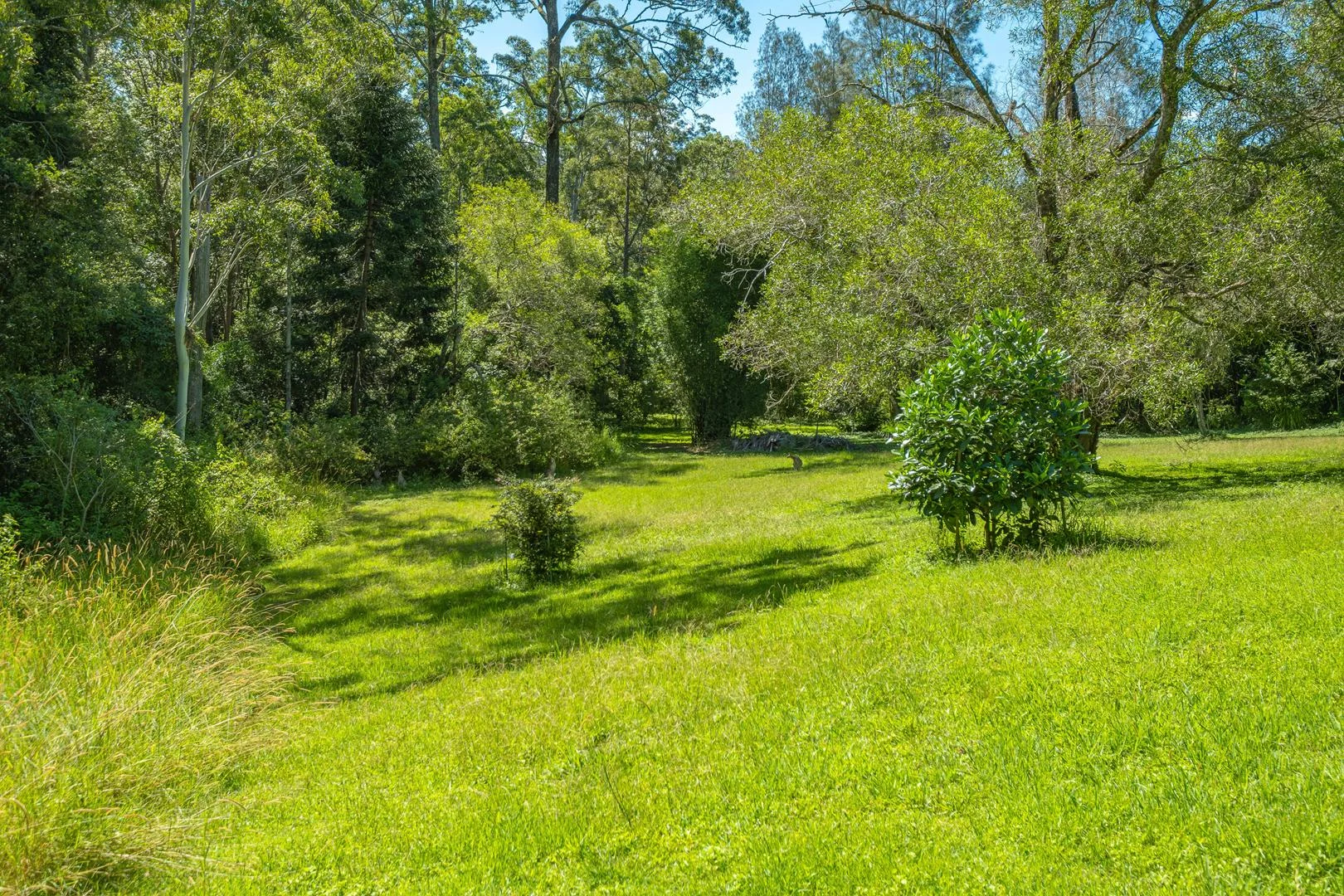 Additional image 19 of Conondale QLD 4552