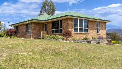 Picture of 165 Saddle Rd, MAGRA TAS 7140