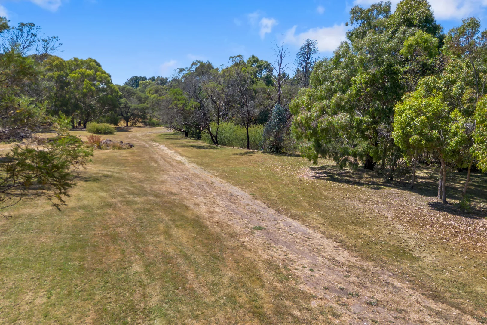 Image 28