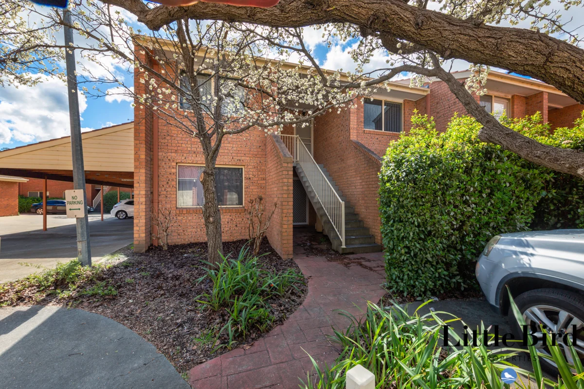 Additional image 2 of 74b/12 Albermarle Place, Phillip ACT 2606