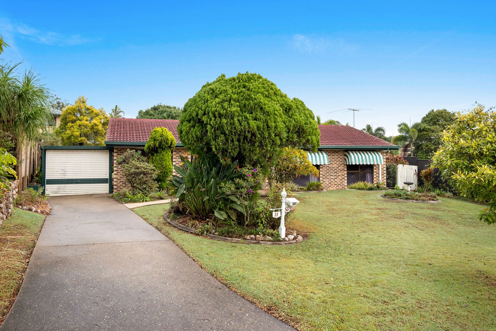 11 Edred Street, Carindale QLD 4152, Image 1