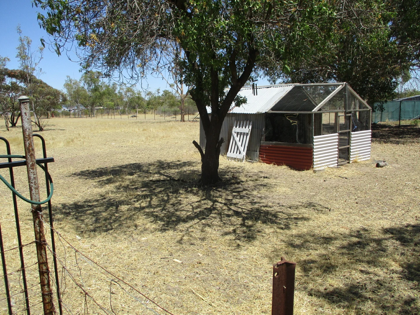 Image 20