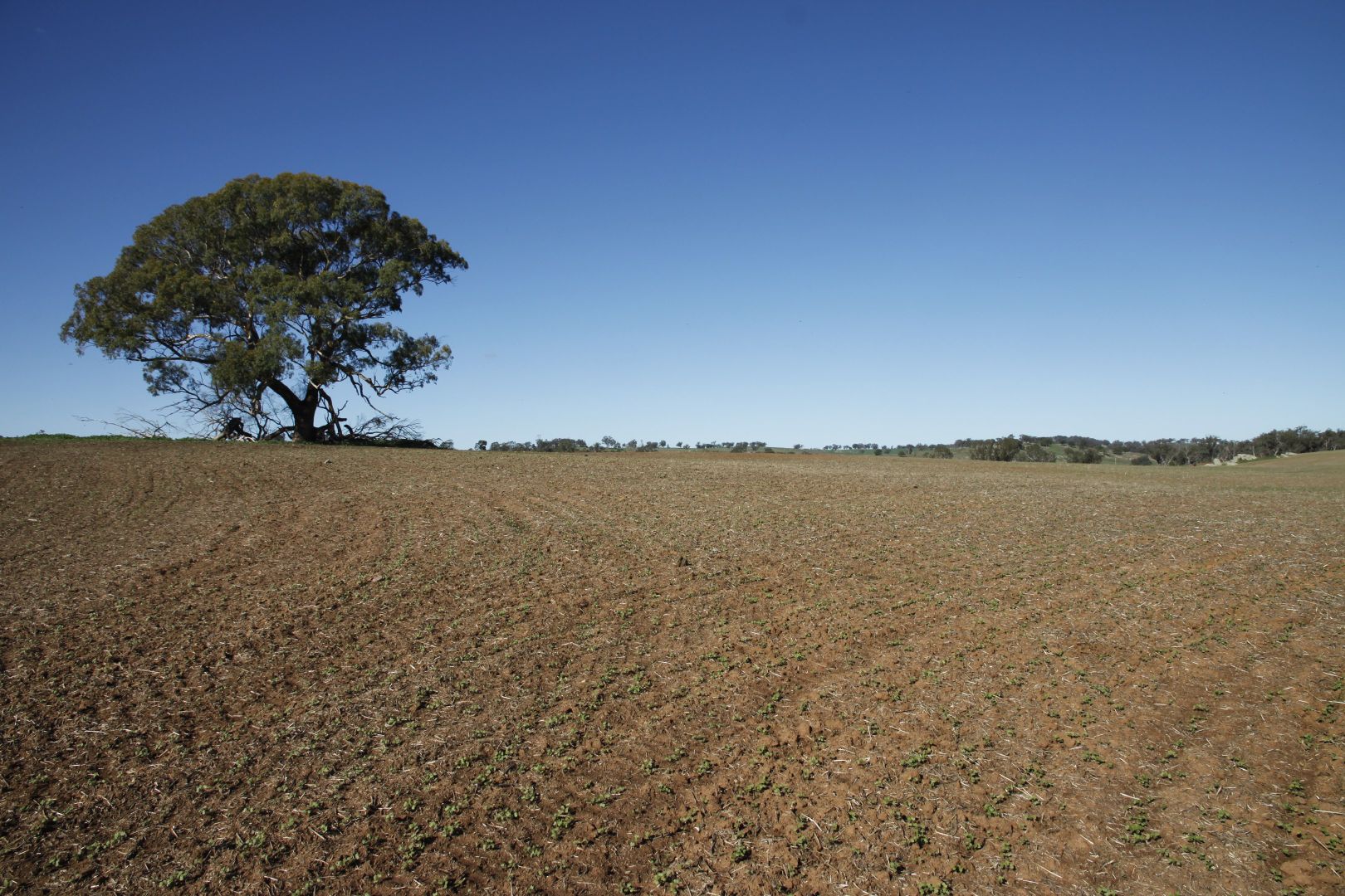 Wombat NSW 2587, Image 1