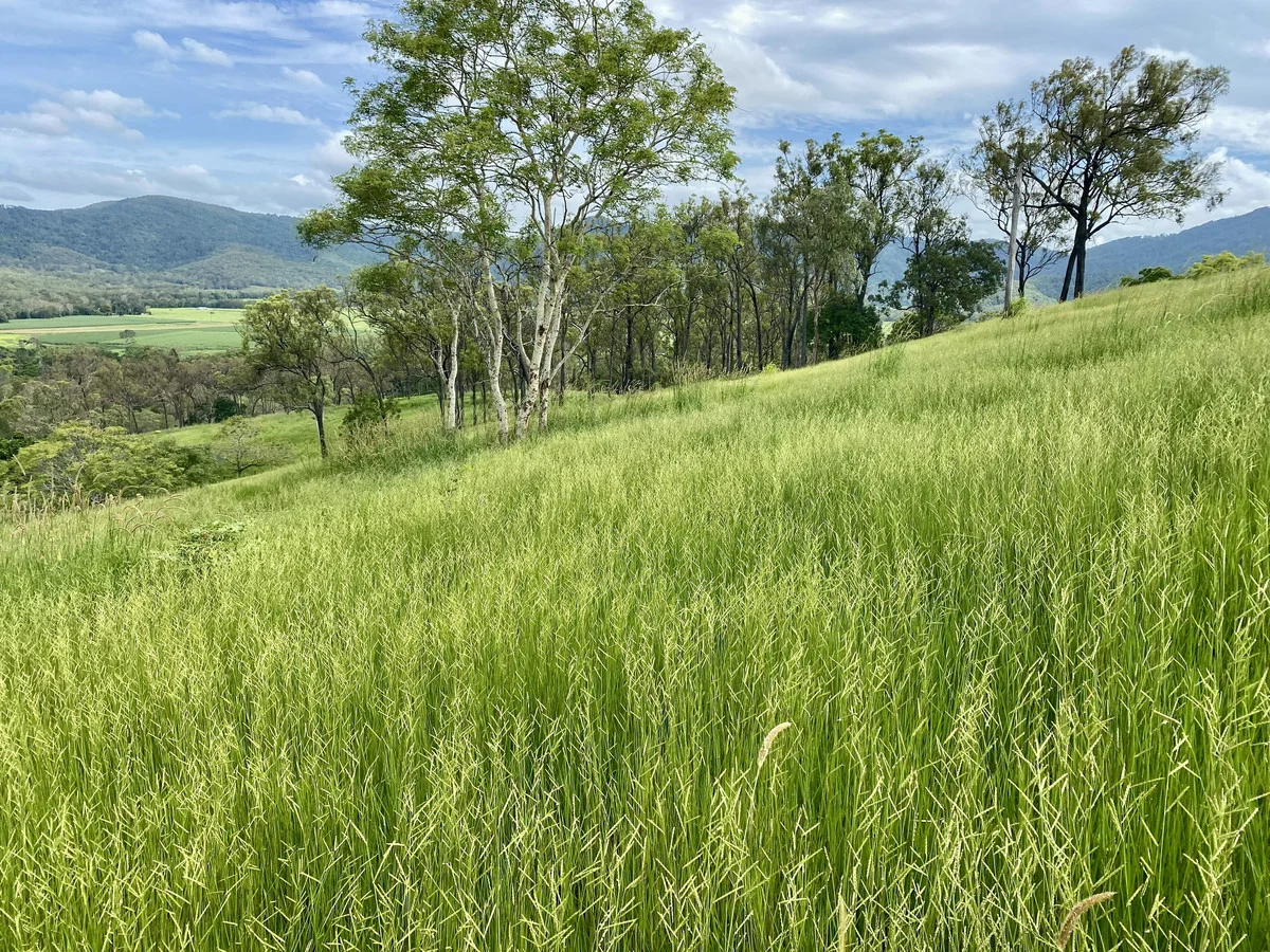 Image 20