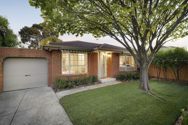 Picture of 1/8 Fitzroy Street, BENTLEIGH VIC 3204