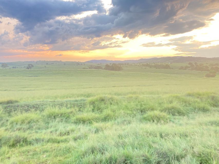 Tenterfield NSW 2372 Rural Lifestyle Property for Sale 695,000