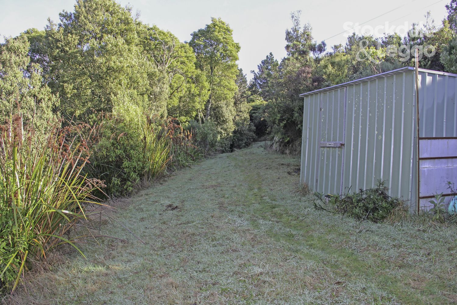 3320 South Gippsland Hwy, Foster North VIC 3960, Image 2