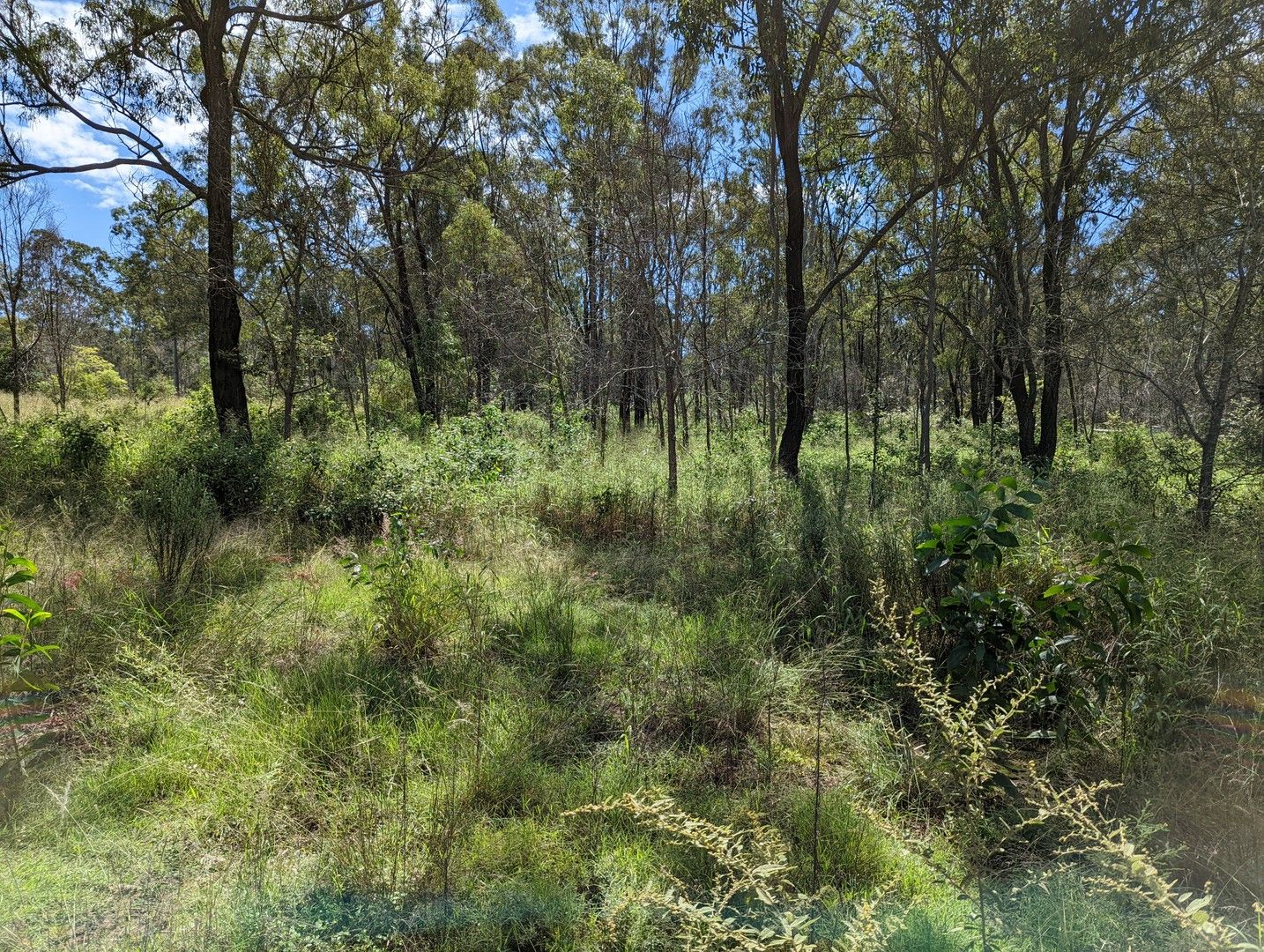 Acreage / Semi-Rural in Lot 2 Connors Road, HELIDON QLD, 4344