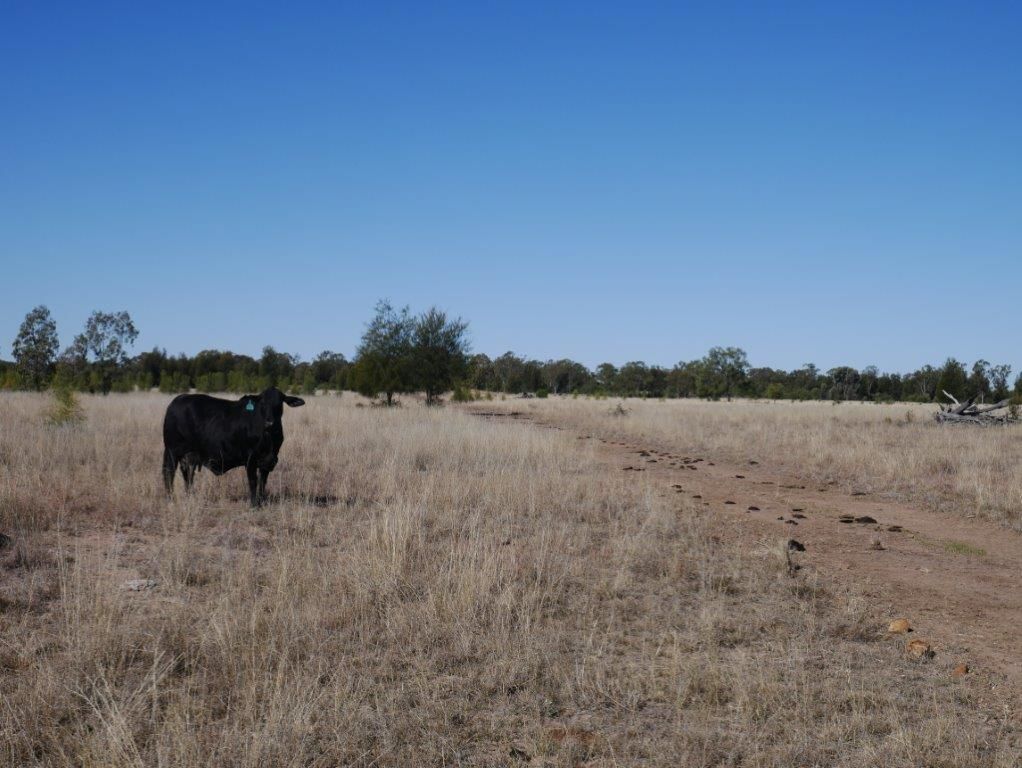 Tara QLD 4421, Image 1