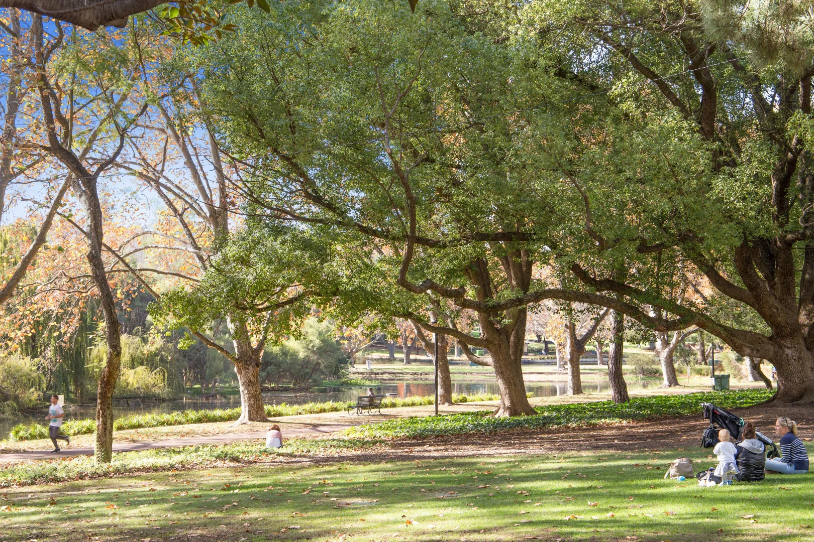 Additional image 8 of 538 Fitzgerald Street, North Perth WA 6006