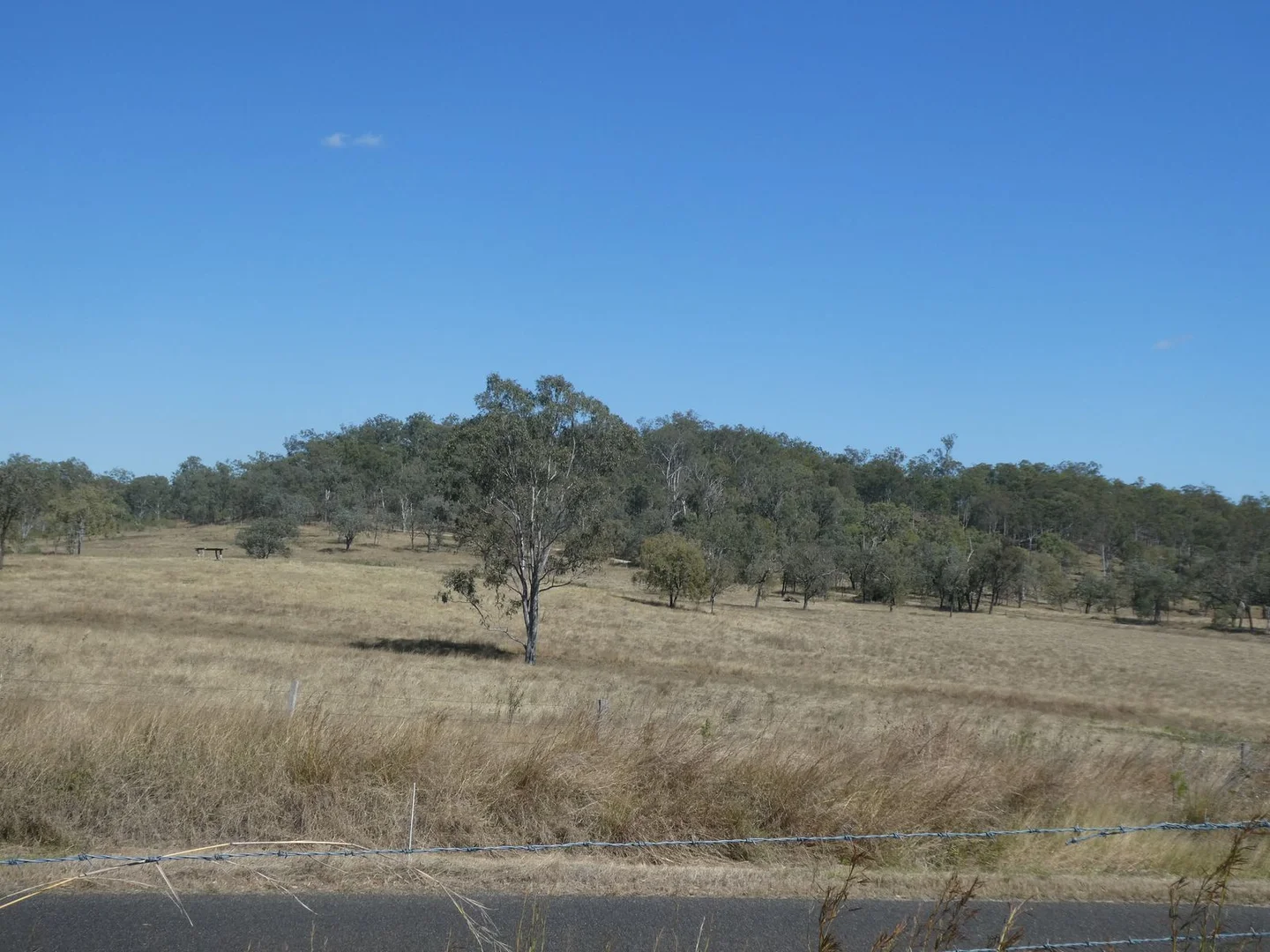 Image 13
