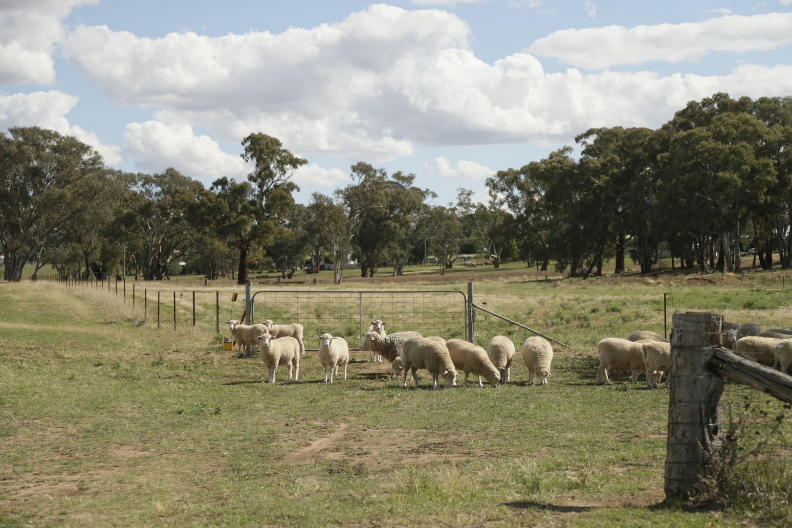 'Ashburnham' Cargo Road, Cargo NSW 2800, Image 1