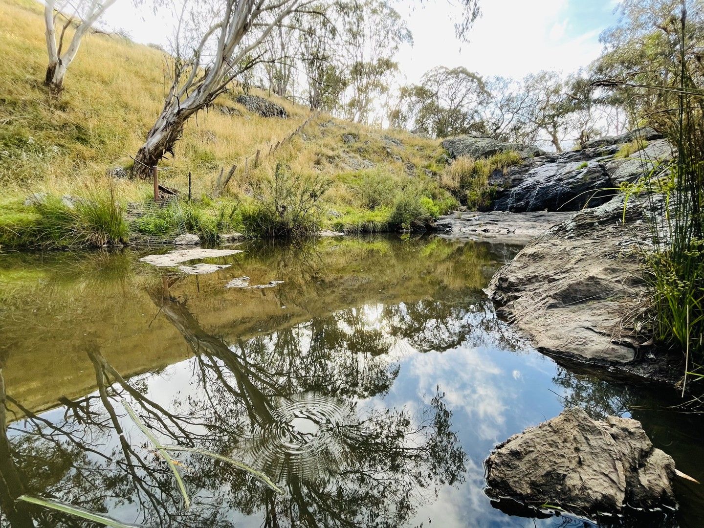 2120 Brackendale Road, Walcha NSW 2354 House for Sale Domain